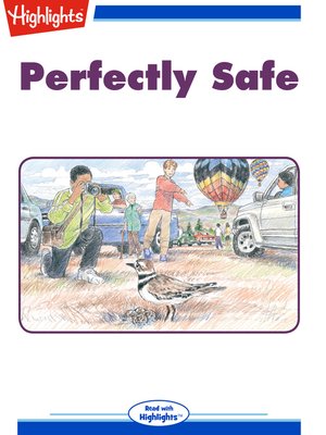 cover image of Perfectly Safe